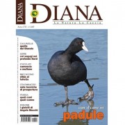 Diana nr.12 è in Edicola dal 19 giugno 2012